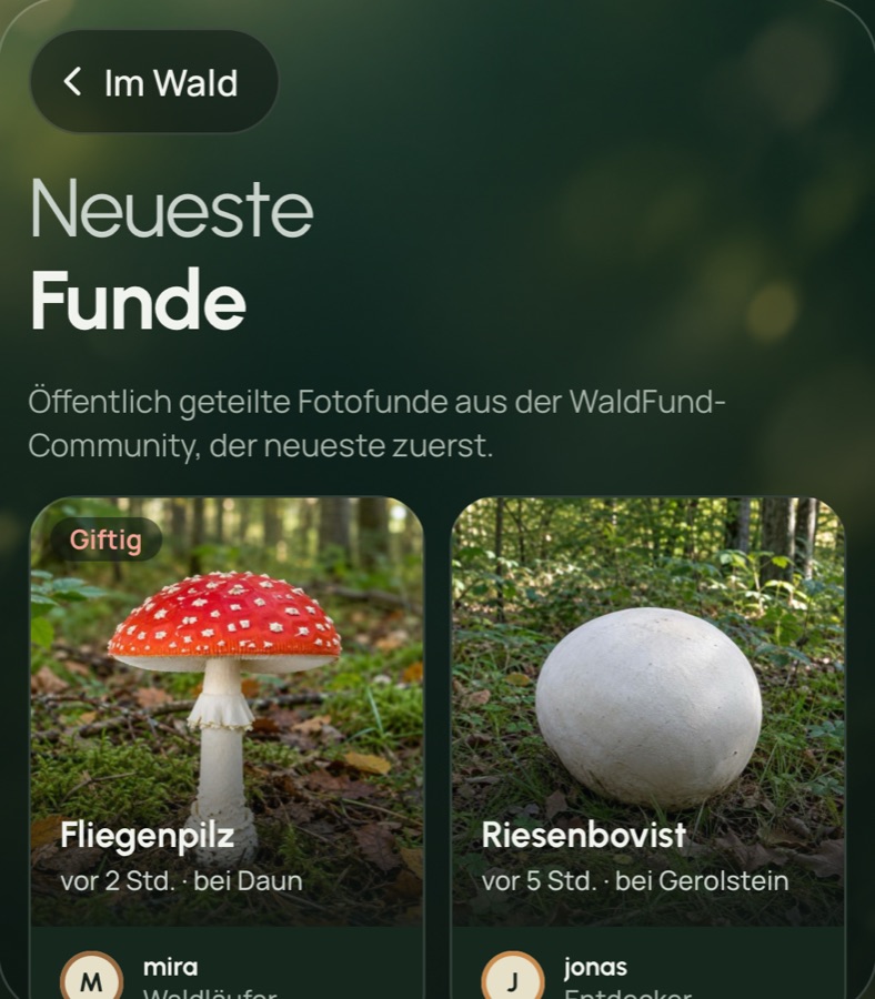 „Neueste Funde“ mit einem Fliegenpilz, als giftig markiert, und einem Riesenbovist