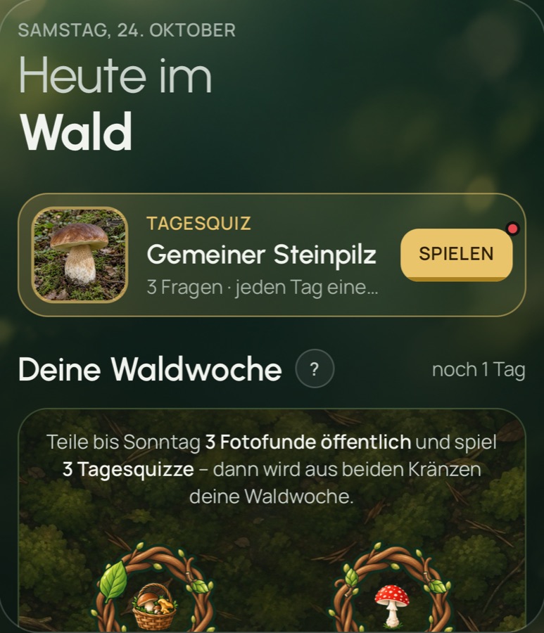 „Heute im Wald“ mit Tagesquiz zum Gemeinen Steinpilz und der Waldwoche aus zwei Kränzen
