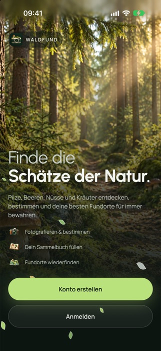 Der Startbildschirm der WaldFund-App: ein sonniger Waldweg, darüber „Finde die Schätze der Natur.“